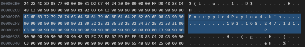 Shellcode Download Address