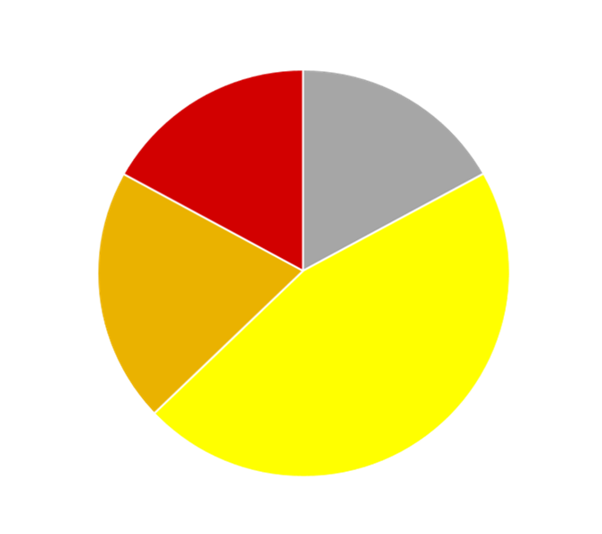Kuchendiagramm der Findings nach Risiko